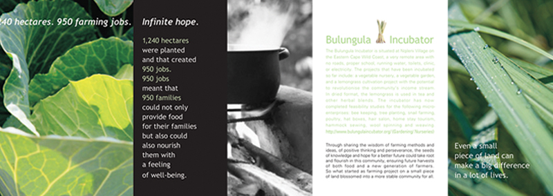 Old-Mutual-foundation-book-page-06